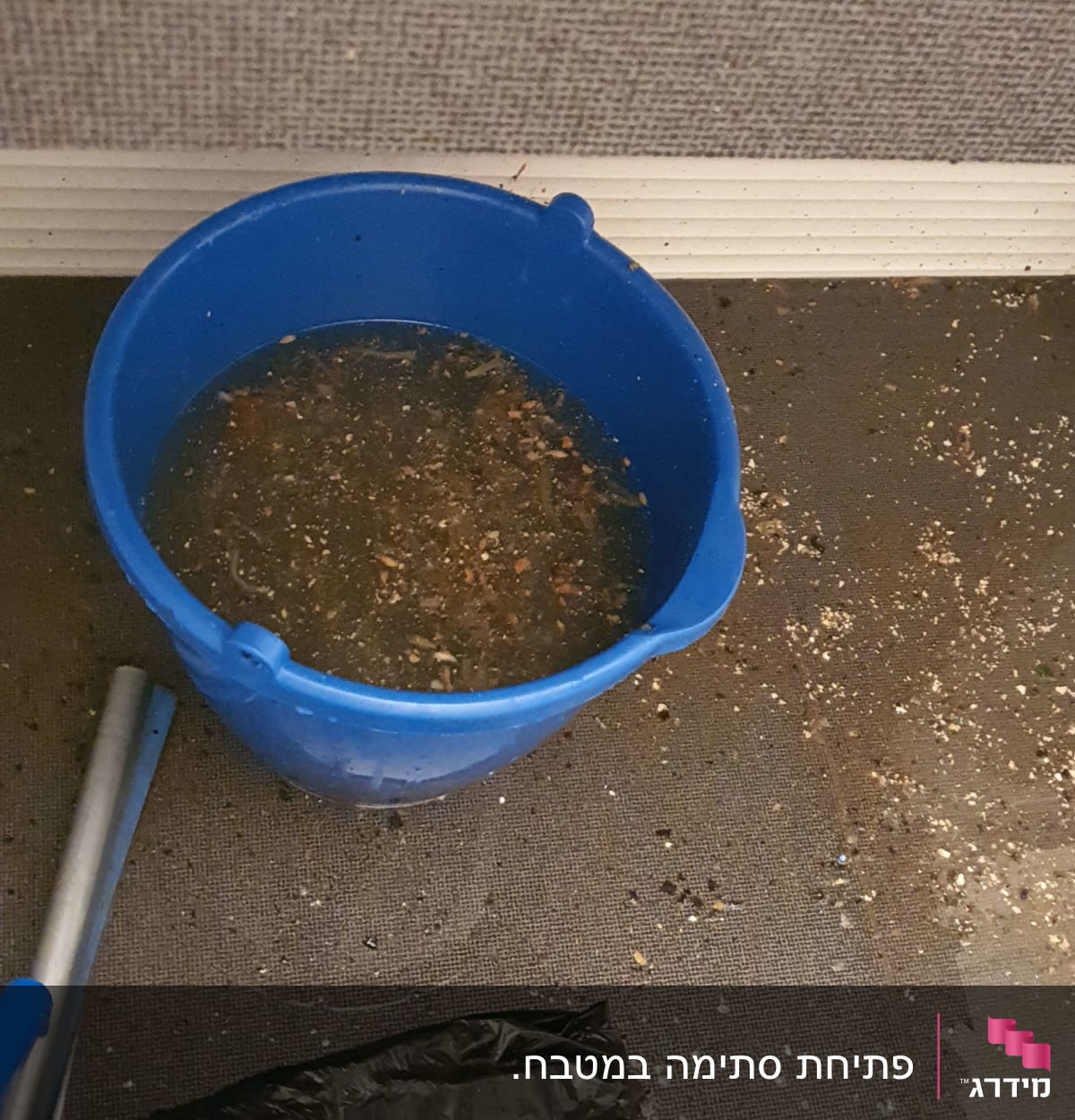 דלי כחול עם מים מלוכלכים על הרצפה